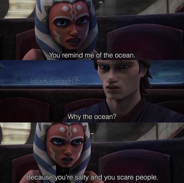 This meme is a humorous exchange between two characters, with the first one saying "You remind me of the ocean" and the second one responding with a sarcastic and unexpected reason, "Because you're salty and you scare people".
